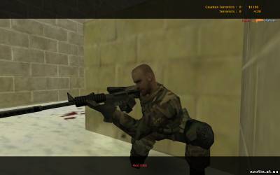 Модель (VIP) Командир тактической группы VIP для cs 1.6