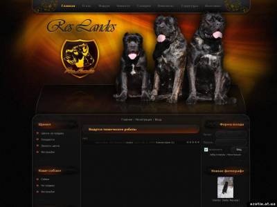 Шаблон reslandes для ucoz